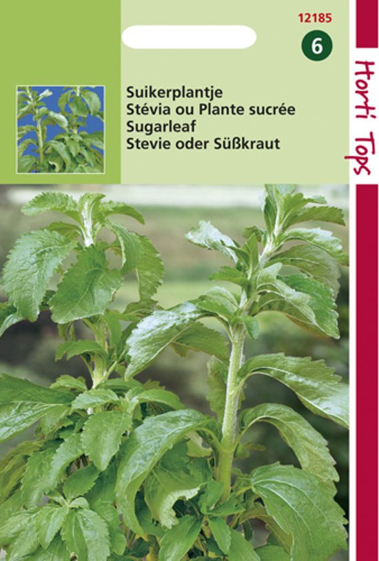 Honingkruid (Stevia rebaudiana) 25 zaden HT